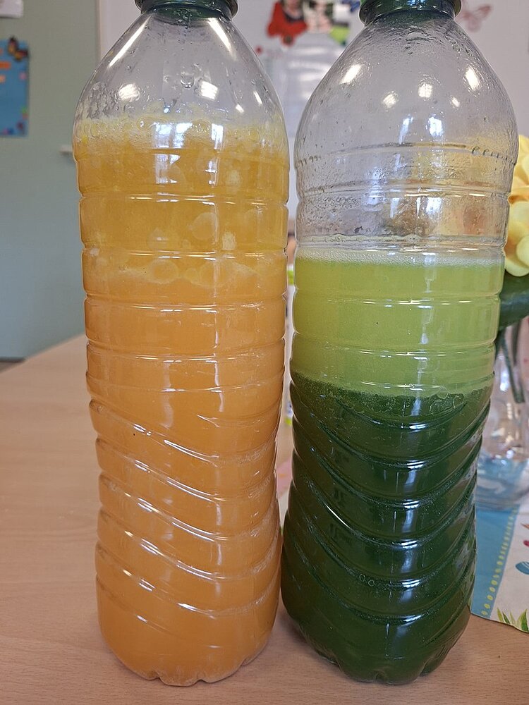 Unser Wasserprojekt in der KITA Waldräuber