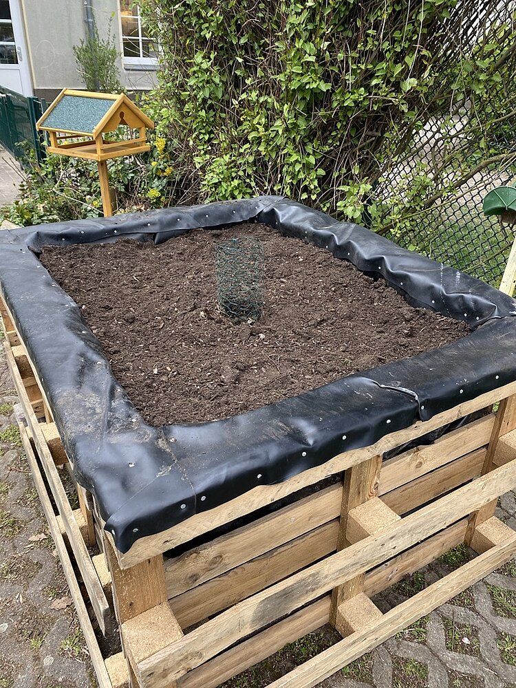 Ein Hochbeet aus unbehandelten Holzpaletten ist mit dunkler Erde befüllt. Der Rand ist mit einer schwarzen Folie ausgekleidet, die mit silbernen Nägeln befestigt ist. In der Mitte des Beetes steht eine kleine, mit grünem Netz geschützte Pflanze. Im Hintergrund befindet sich ein mit Futter gefülltes Vogelhaus auf einem Holzpfosten, daneben wächst eine dichte grüne Hecke an einem Maschendrahtzaun empor.