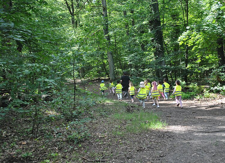 Eine Gruppe von Kindergartenkindern in gelben Sicherheitswesten läuft mit einer erwachsenen Begleitperson einen Waldweg entlang. Die Kinder sind von hinten zu sehen und bewegen sich tiefer in den grünen, lichtdurchfluteten Wald hinein.