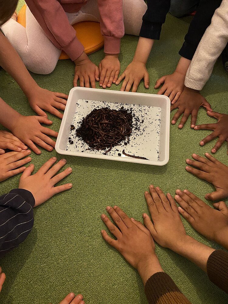 Kinder sitzen im Kreis um eine Schale mit Erde und Regenwürmern und betrachten die Tiere gemeinsam.