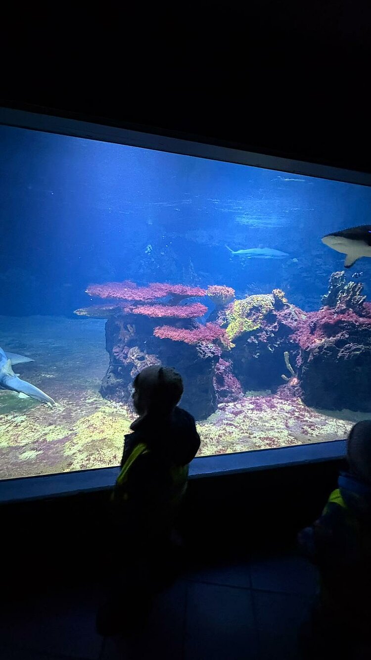 Zwei kleine Kinder in gelben Warnwesten stehen vor einem großen Meerwasser-Aquarium. Hinter der Glasscheibe sind Korallenriffe, bunte Felsen und mehrere Haie im blauen Wasser zu sehen.
