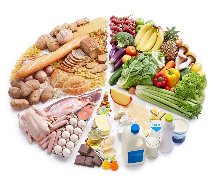 Gesunde Ernährung in der KITA Waldräuber Gesunde Ernährung in der KITA Waldräuber