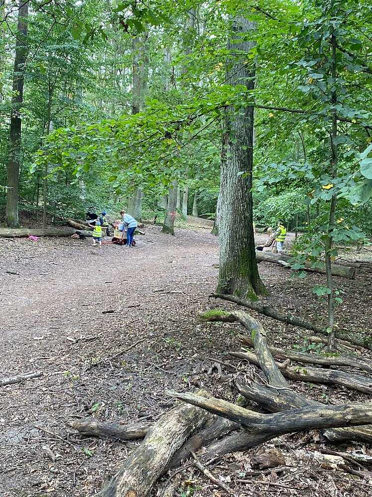 Mehrere Kinder in gelben Sicherheitswesten spielen im Wald. Eine erwachsene Begleitperson steht neben einem Bollerwagen, während die Kinder zwischen Bäumen und Holzstämmen unterwegs sind.