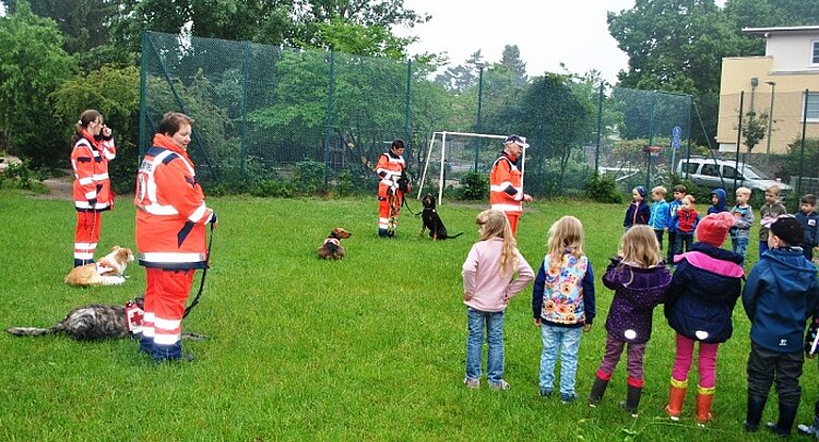 Die Hundestaffel des DRK zu Besuch in der KITA Waldräuber Die Hundestaffel des DRK zu Besuch in der KITA Waldräuber