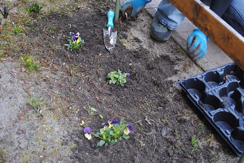 Gartentag in der KITA Waldräuber Gartentag in der KITA Waldräuber-6