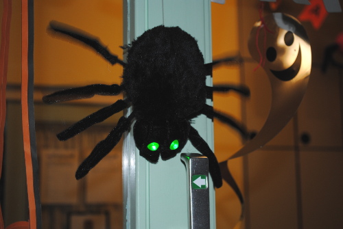 Gruselspinnen-Invasion in der KITA Waldräuber! Gruselspinnen-Invasion in der KITA Waldräuber! -3