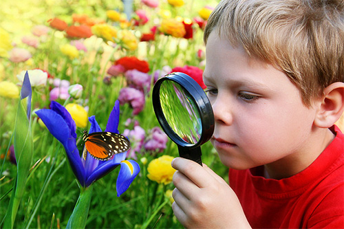 Aktivitäten in der Natur Aktivitäten in der Natur-1
